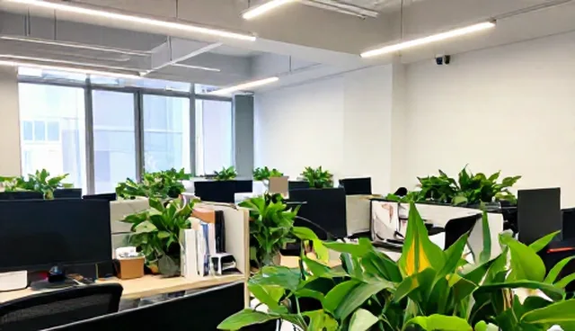信息咨询中常见误区及运营效率提升建议