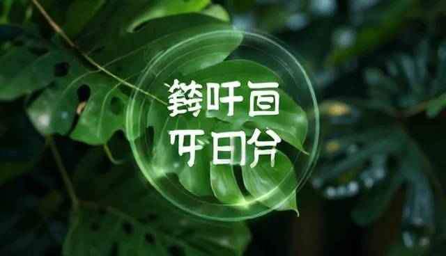 管理咨询项目中理解偏差的常见环节与应对策略
